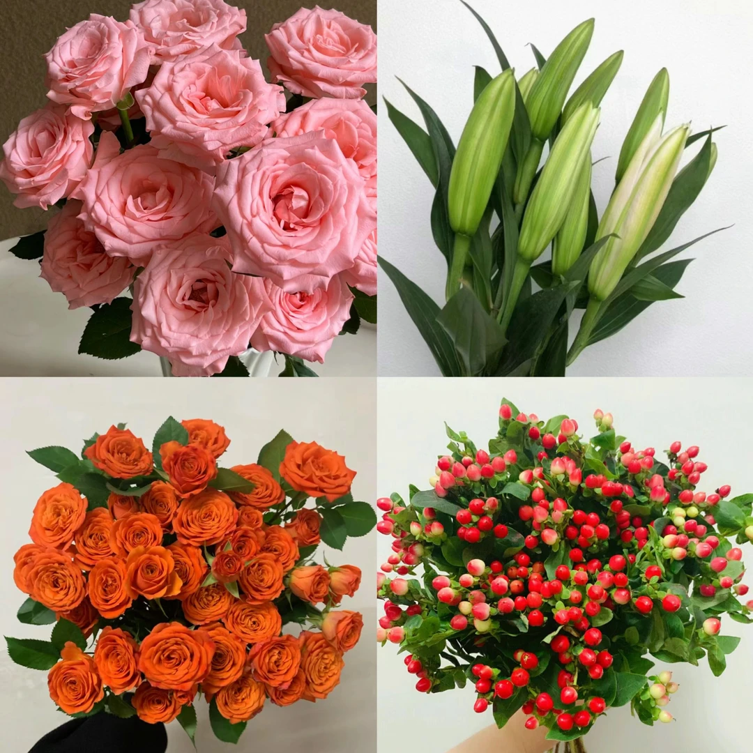 【教师节感恩好礼】粉玫10枝+百合6朵+红豆1扎+橙色芭比5枝云南