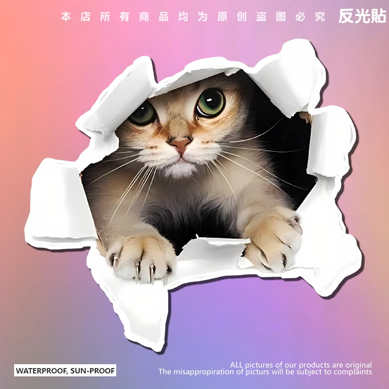创意个性3D立体小猫汽车贴纸 可爱搞怪猫咪遮挡车身车尾划痕刮痕