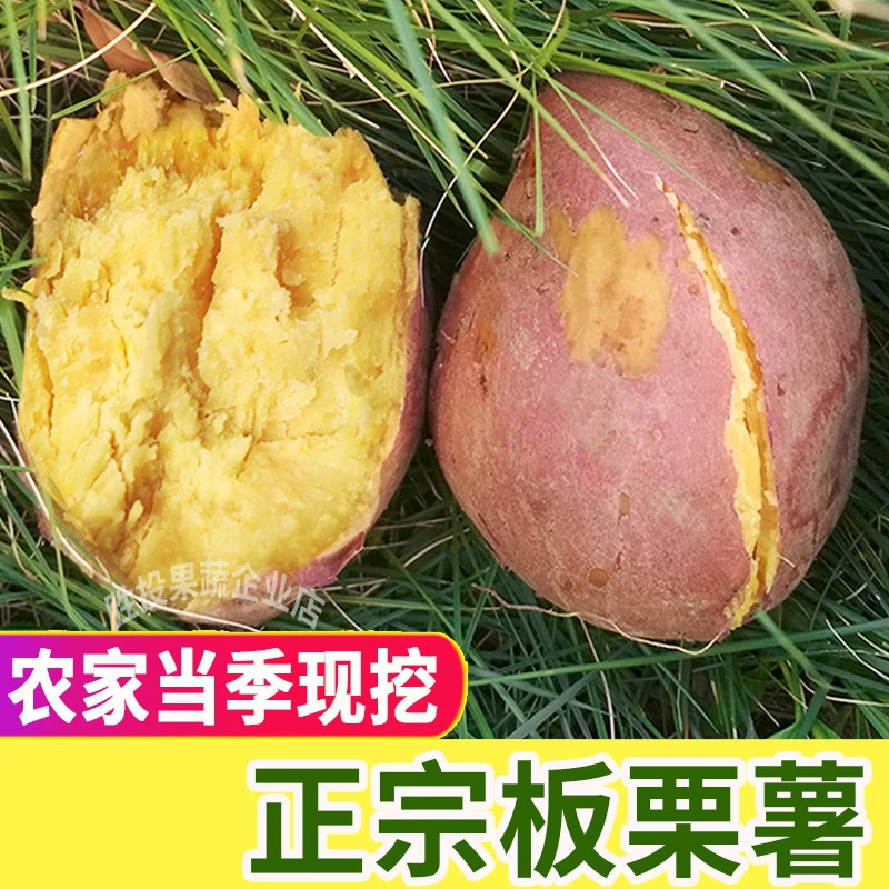 粉糯香甜 正宗沙地板栗薯新鲜黄心番薯现挖现发当季红薯3斤