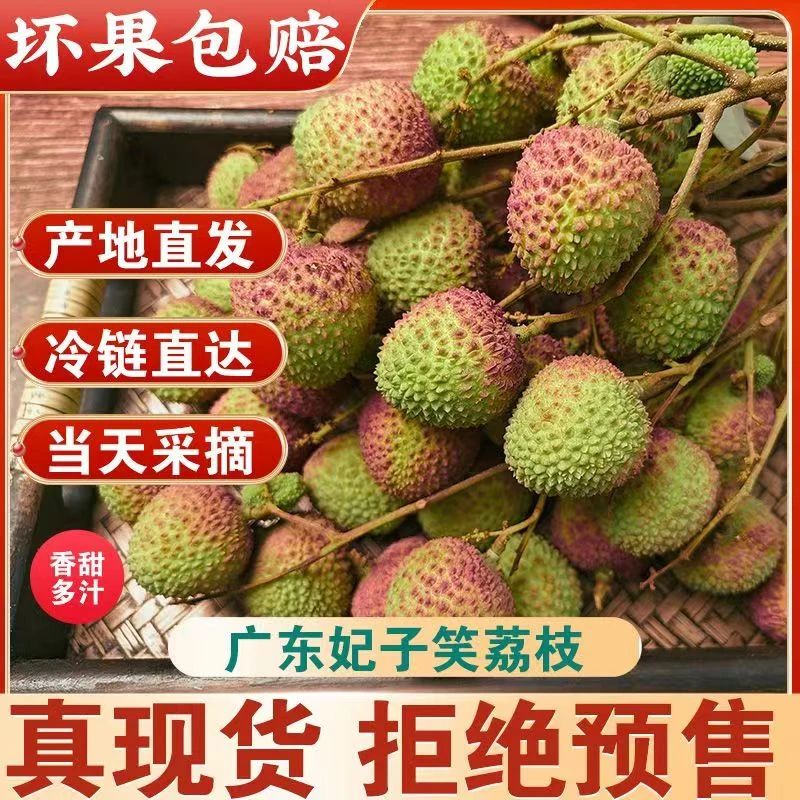 【全疆包邮】海南鲜果妃子笑荔枝肉厚鲜嫩晶莹多汁
