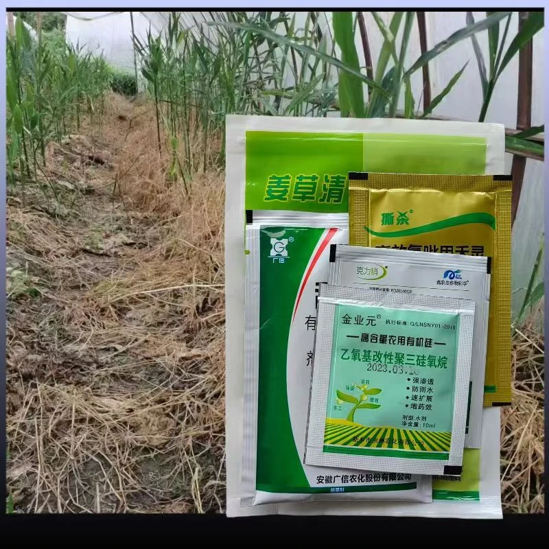 姜草清套装 大世界农资