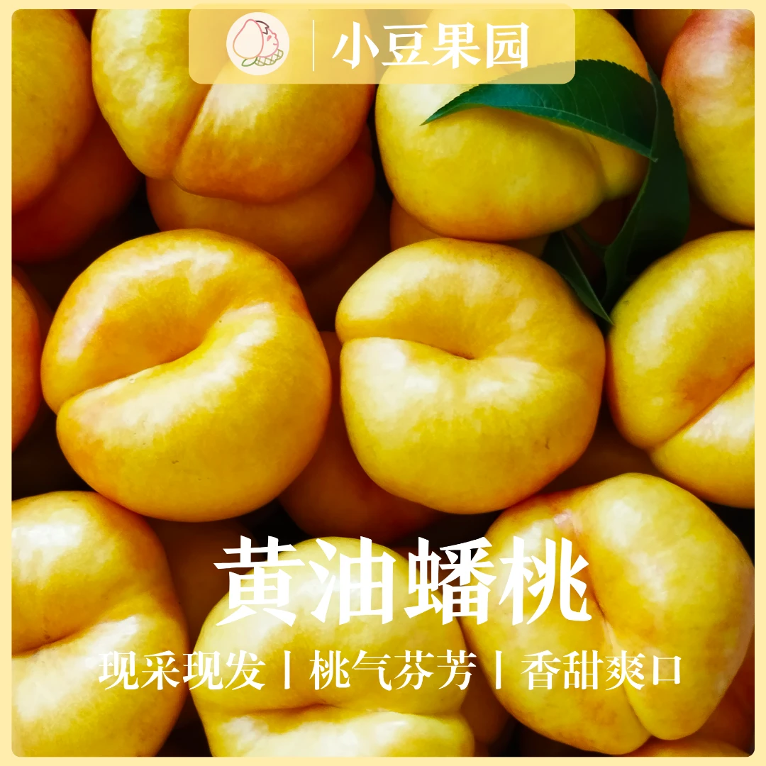 蒙阴蜜桃山东蒙阴黄油蟠桃新鲜应季水果皮薄甜嫩多汁顺丰包邮
