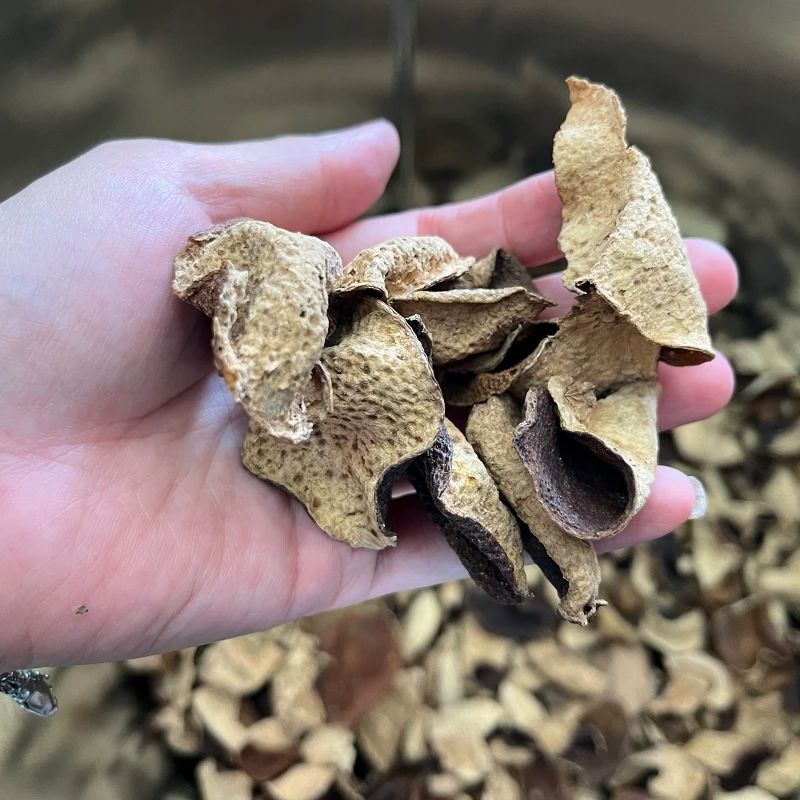 15年广东东甲陈皮代用茶大红皮茶枝柑老陈皮断皮陈皮茶净含量250g