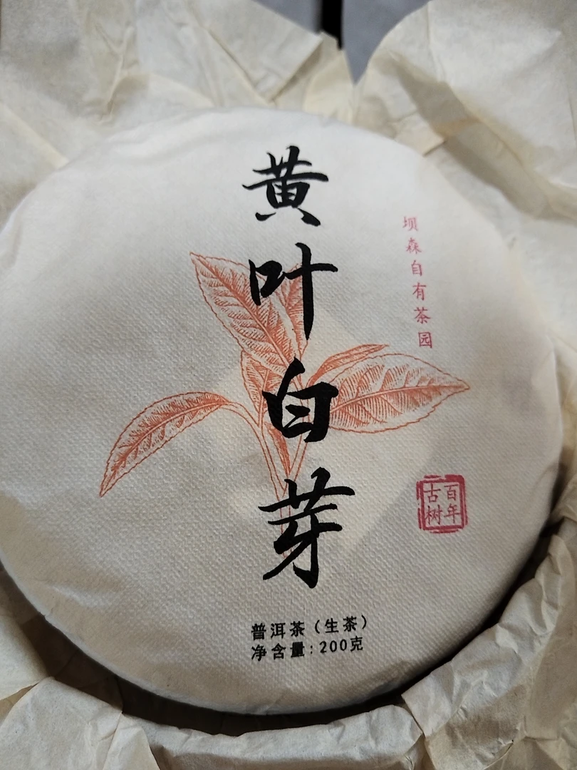 黄叶白芽：猫耳韵普洱生茶200g