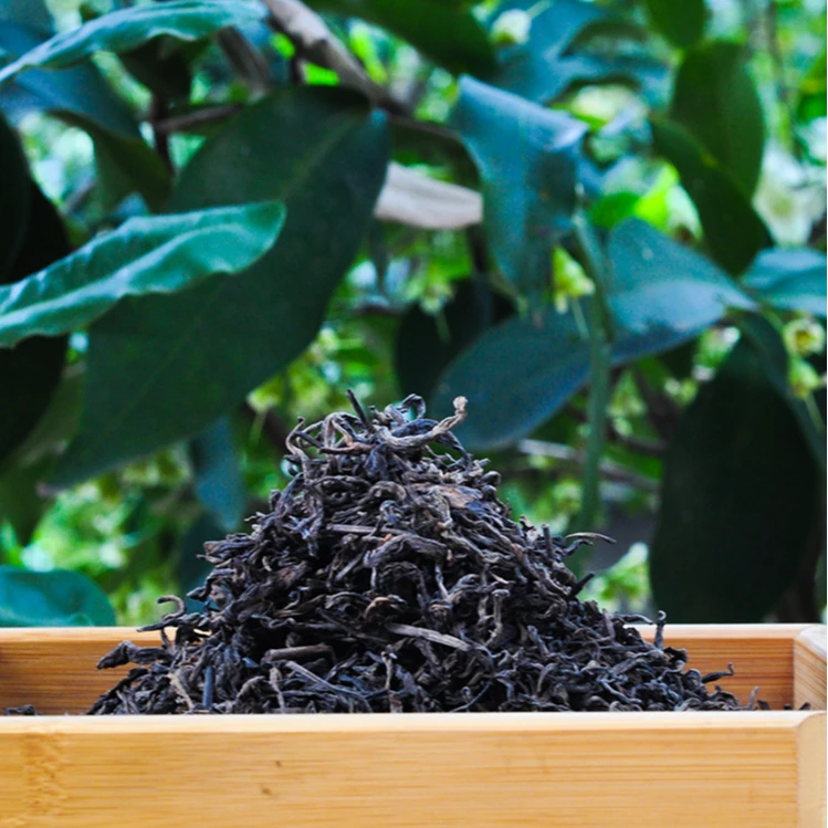 【2008年班盆熟散茶】大树头春 普洱熟散茶 100g