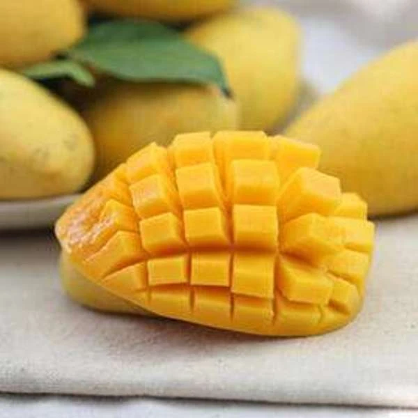 小台芒500g