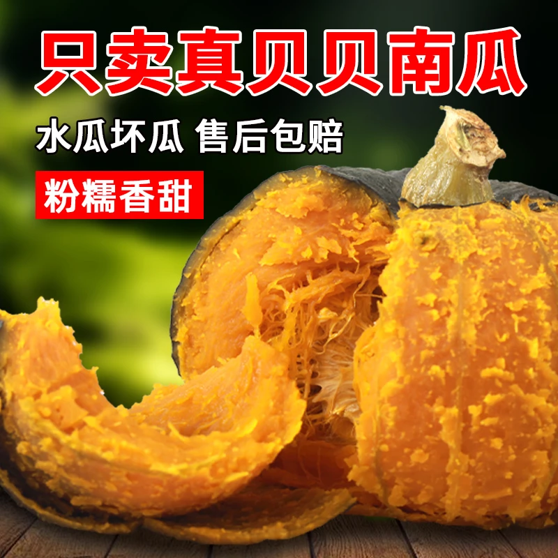 沙漠真贝贝南瓜正宗板栗味老面粗粮孕妇婴儿宝宝辅食粉糯香甜整箱