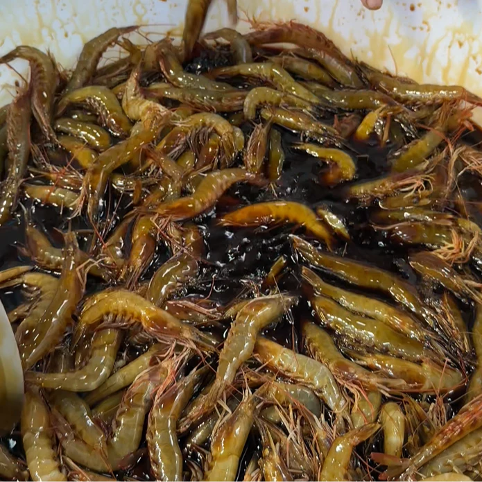 腌虾酱油腌汕尾本港