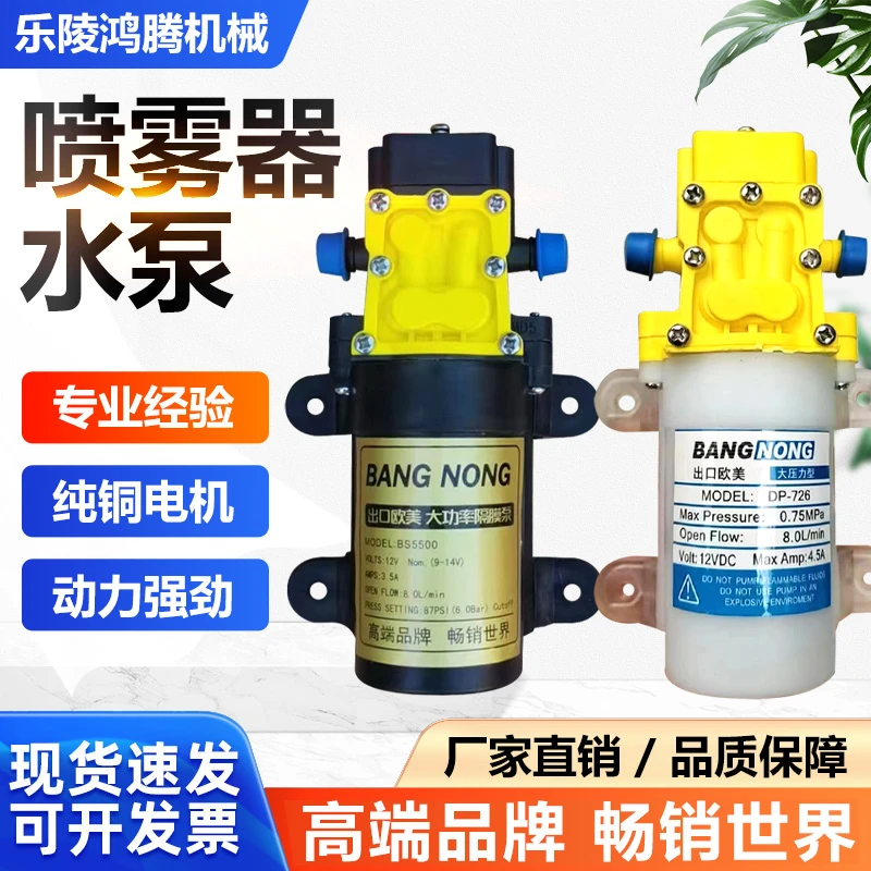 电动高压喷雾器水泵大功率智能自吸泵打药机马达12V农用隔膜泵