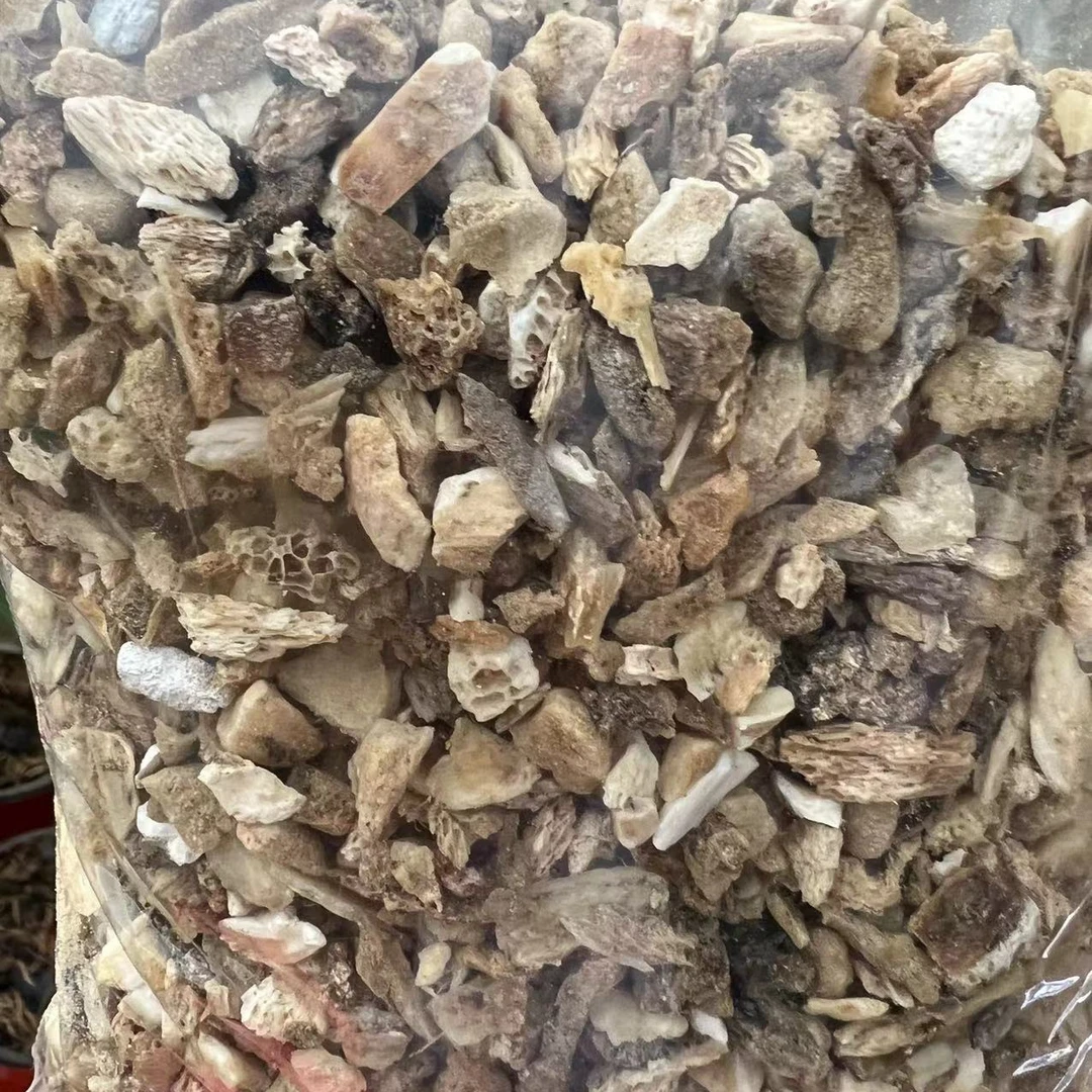 规格0.5-1.0厘米 骨头