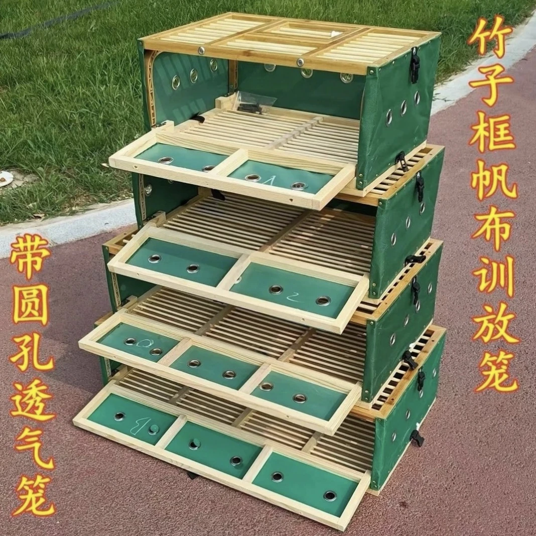 鸽子放飞笼训放笼训放鸽笼