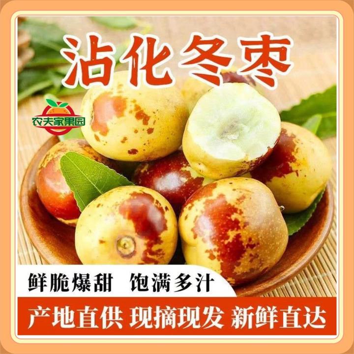 顺丰｜沾化冬枣山东新鲜水果鲜枣正宗当季脆甜冰糖冬枣3/5斤整箱发