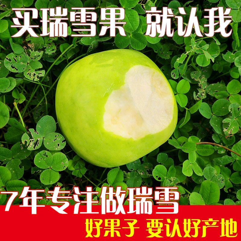 瑞雪苹果二级果纯甜新鲜当季农家水果