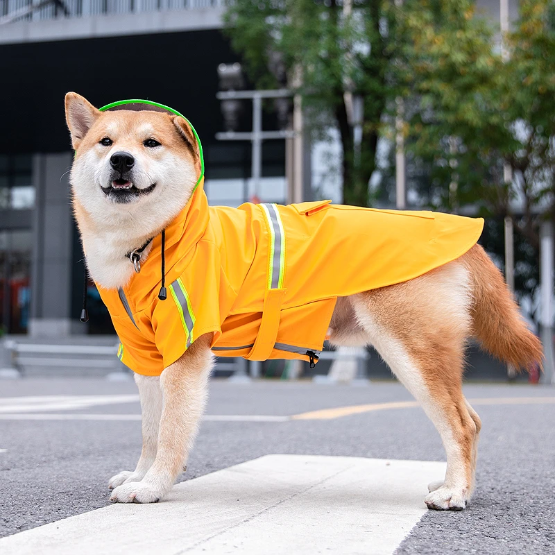 狗狗雨衣柴犬金毛萨摩耶拉布拉多中型犬大型犬宠物狗两脚防水雨披