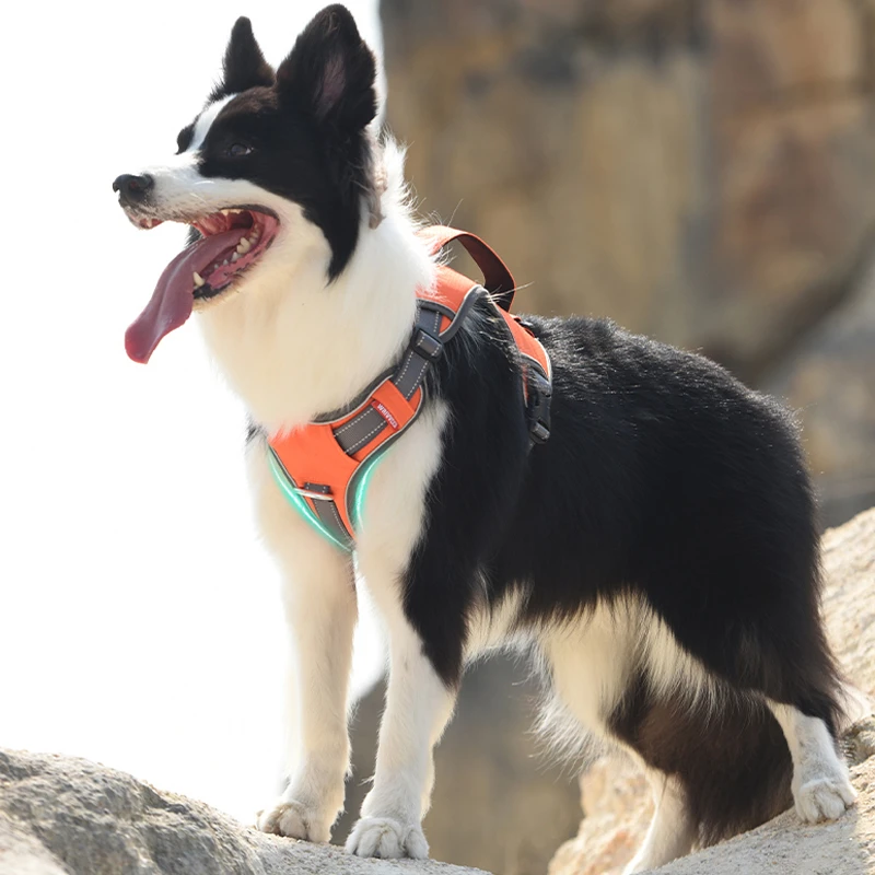 狗狗牵引绳狗链子背心式小中型大型犬防爆冲胸背带遛狗宠物用品