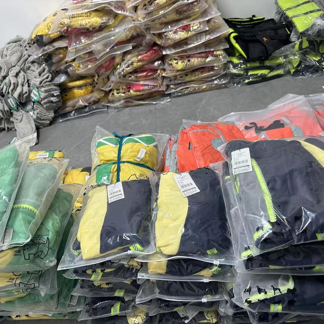 宠物秋冬服饰直播