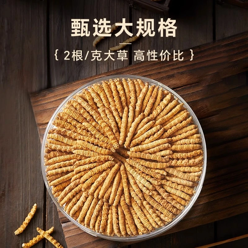 【源头直供】甄选高品质冬虫夏草大断草自用滋补性价比泡水泡茶
