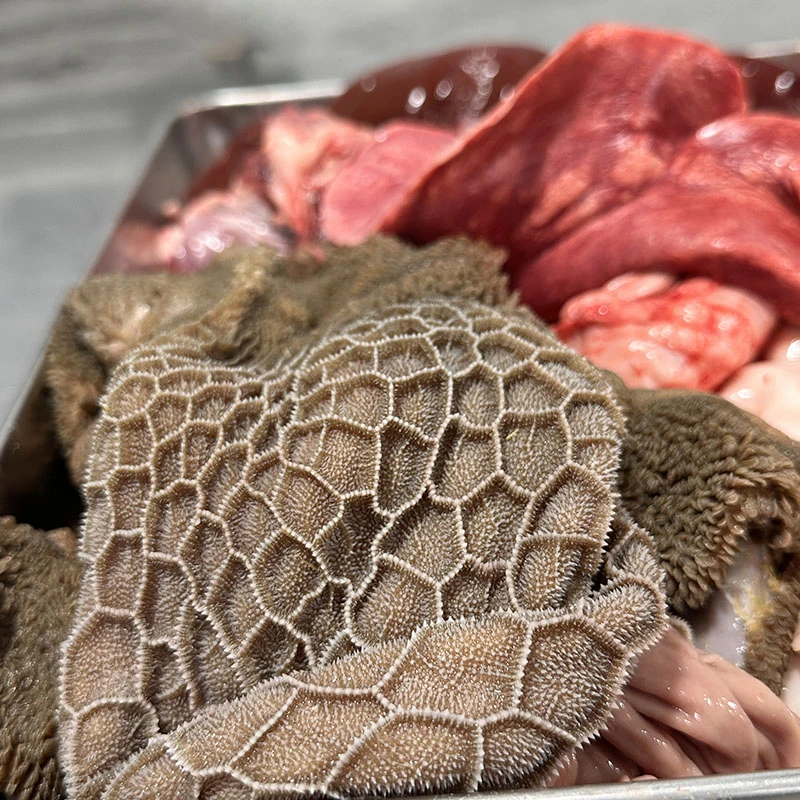 7斤【羊杂】内蒙新鲜羔羊水洗羊杂心肝肚肺肠