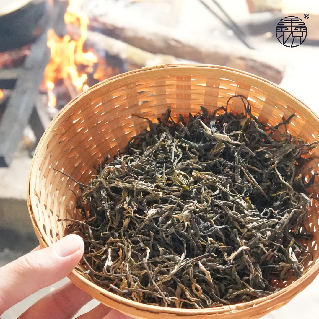 【鑫说】云南普洱---2024年哆依树高杆散生普（1.8-11）