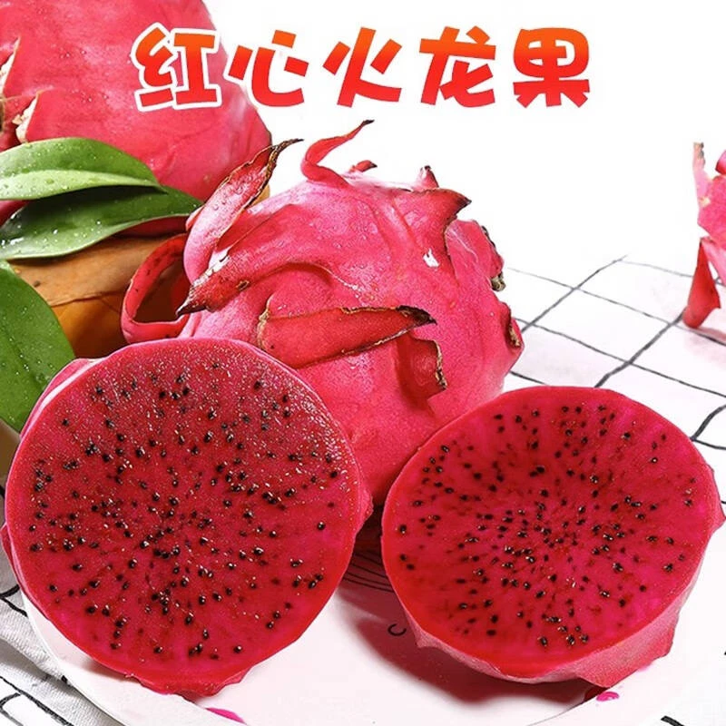海南金都一号红心火龙果 皮薄清甜 4.5-5斤装