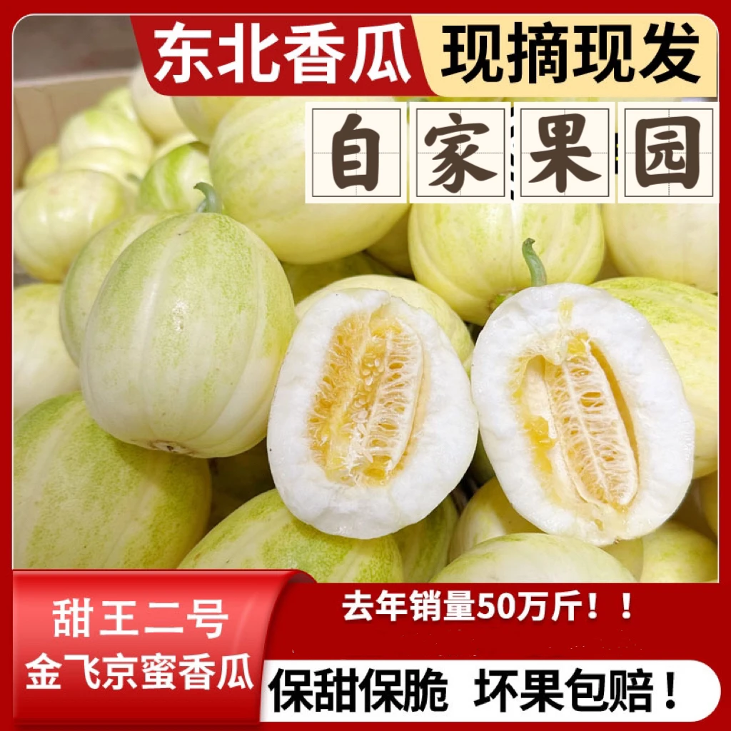 东北香瓜头茬香瓜 现摘现发 5斤顺丰包邮