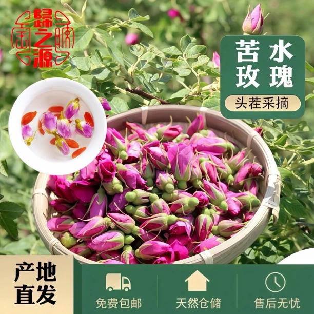 玫瑰花茶正宗兰州苦水无硫干花蕾养生泡水茶女生天然原色香型头茬