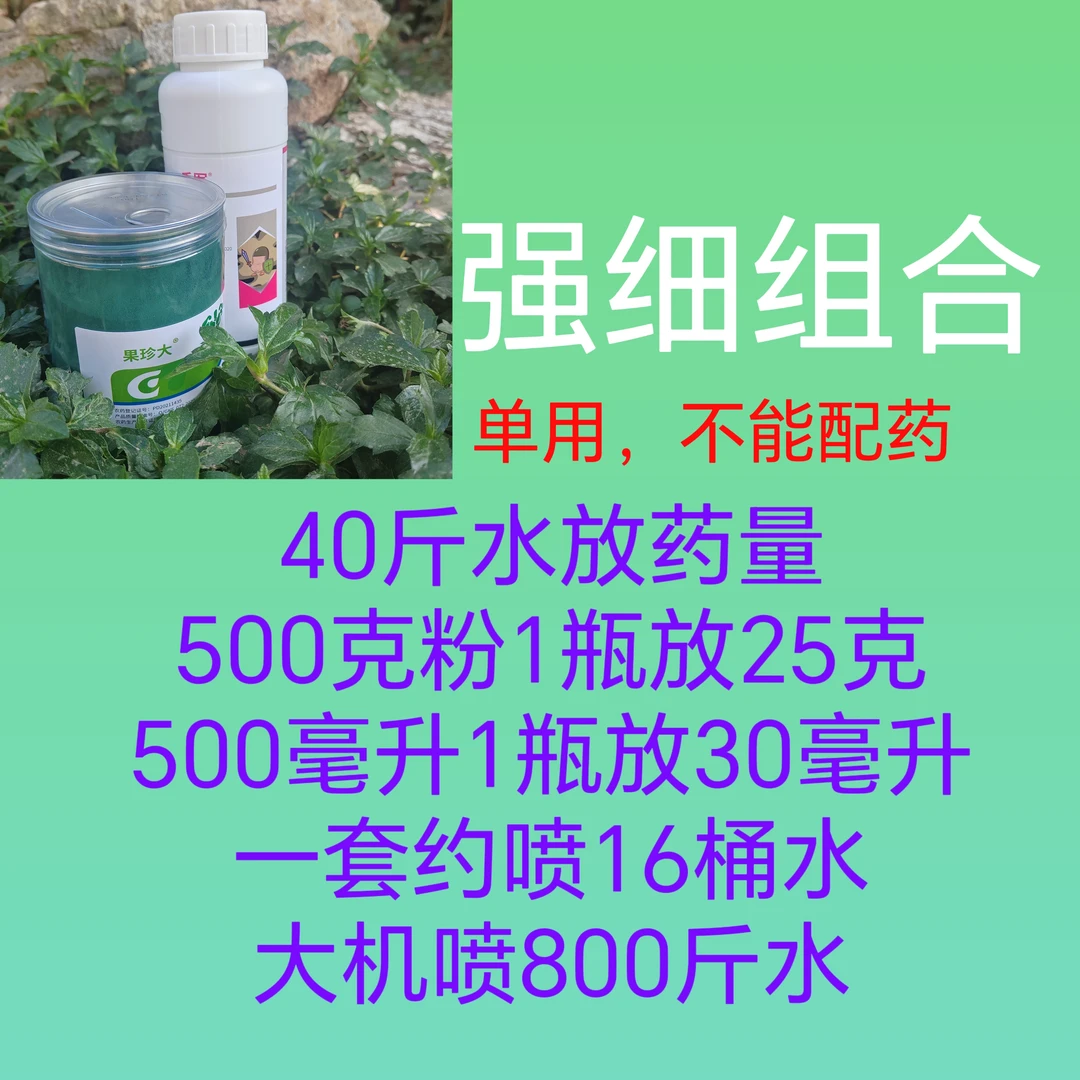 强细组合叶干果烂霜霉