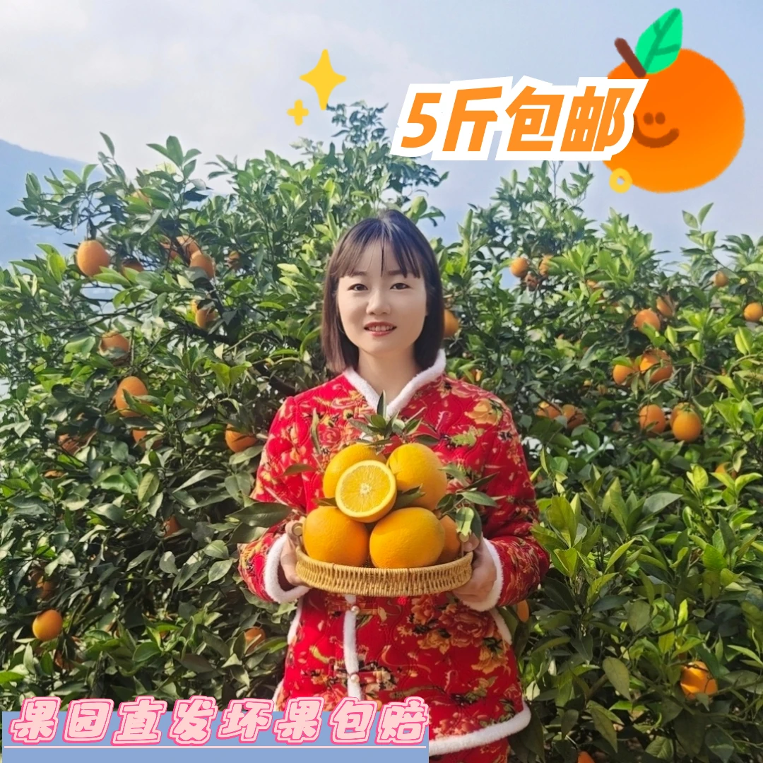 【顺丰包邮】5斤奉节脐橙皮薄新鲜香甜无核果园种植现摘酸甜阳光橙