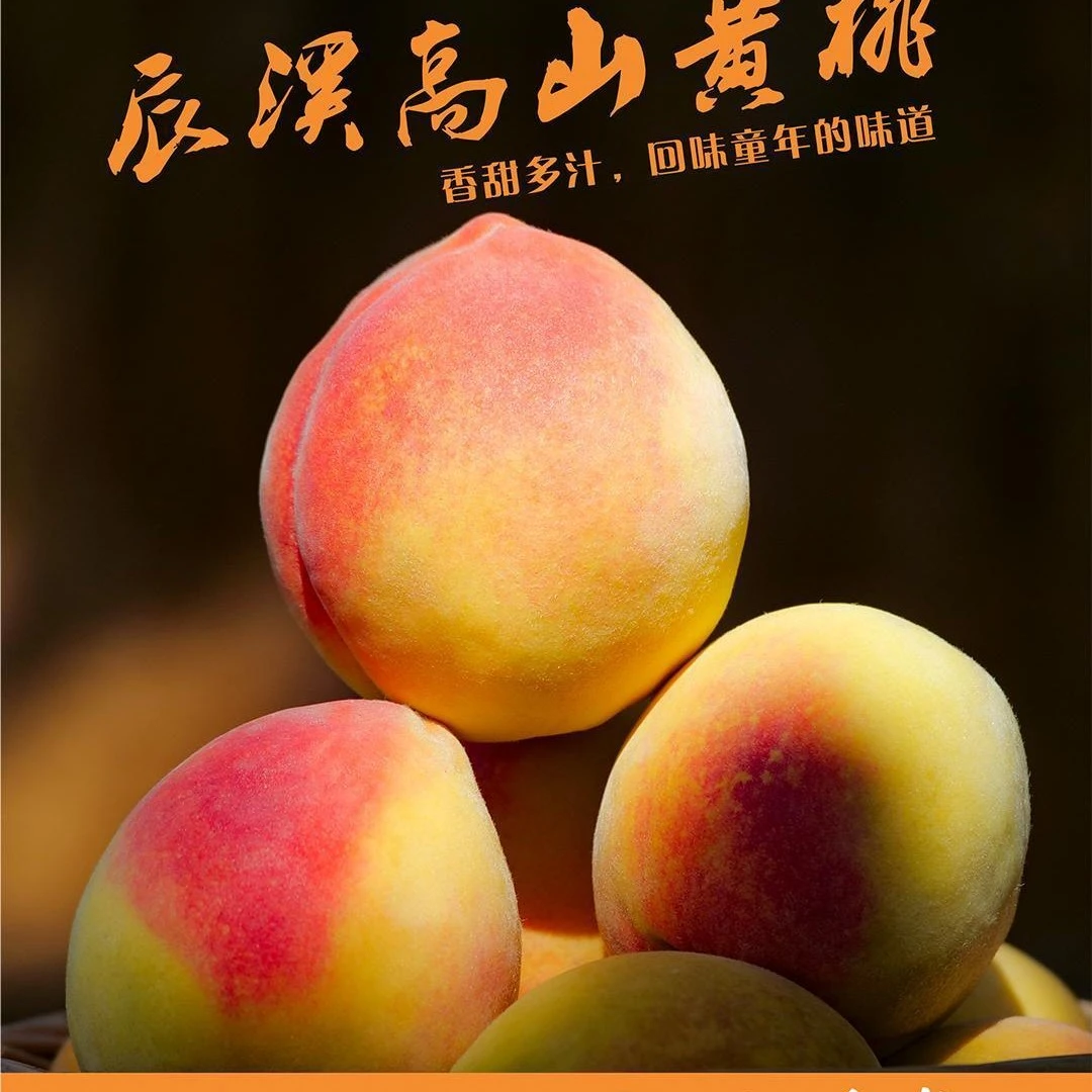 湖南辰溪黄桃肉厚香甜多汁果大小新鲜现摘现发包邮