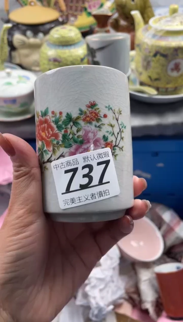 【闪购商品】瓷片737