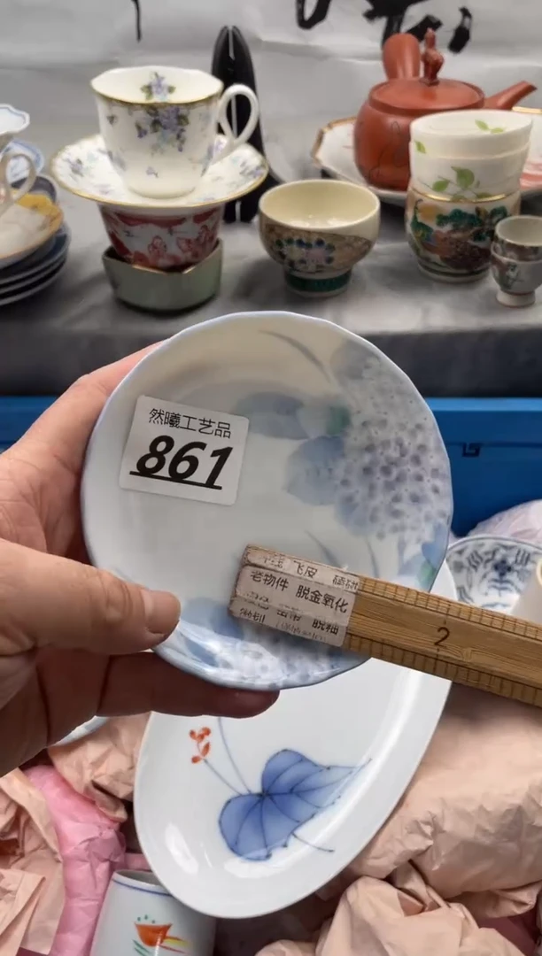 【闪购商品】瓷片861