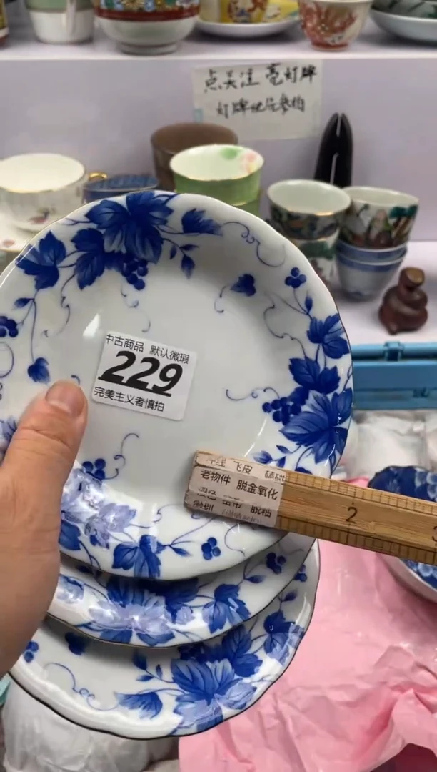 【闪购商品】瓷片229