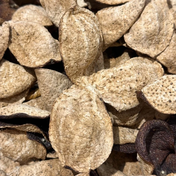 2019年新会双水大红陈皮