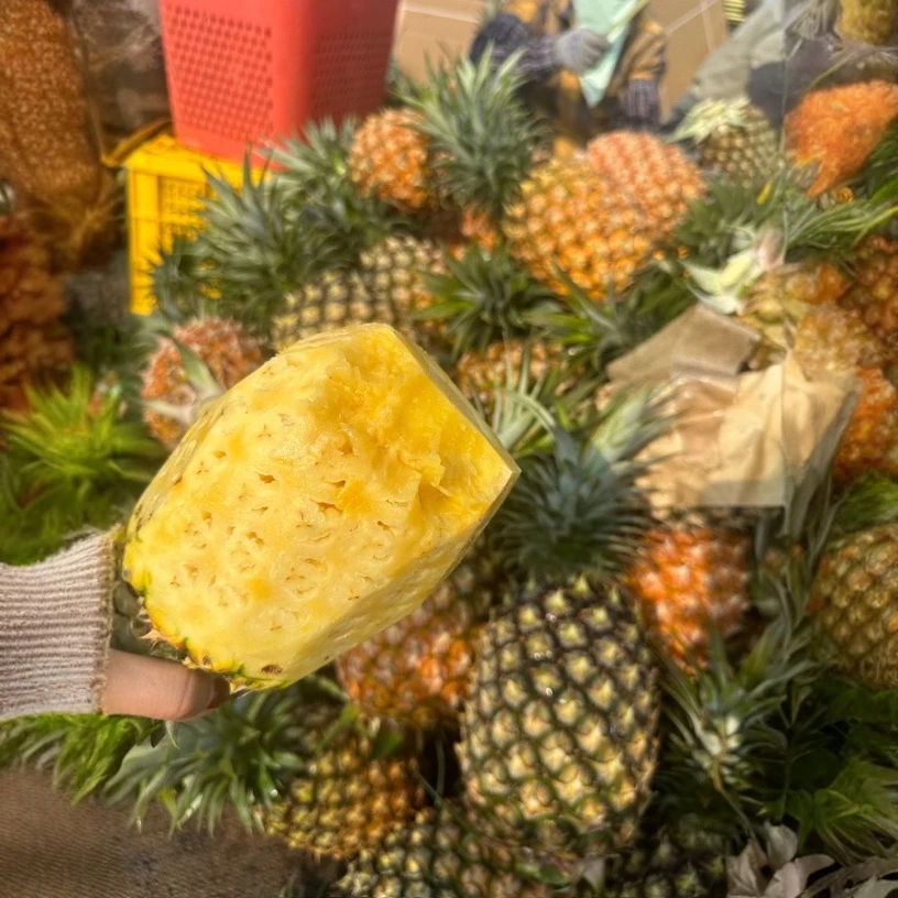 顺丰包邮海南金钻凤梨当季新鲜水果海南凤梨4.5斤净果