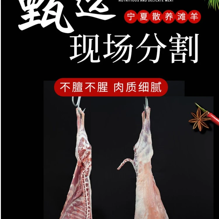 宁夏滩羊肉半羊链接专用现称现切-前腿-羊排-后腿 【全羊链接】