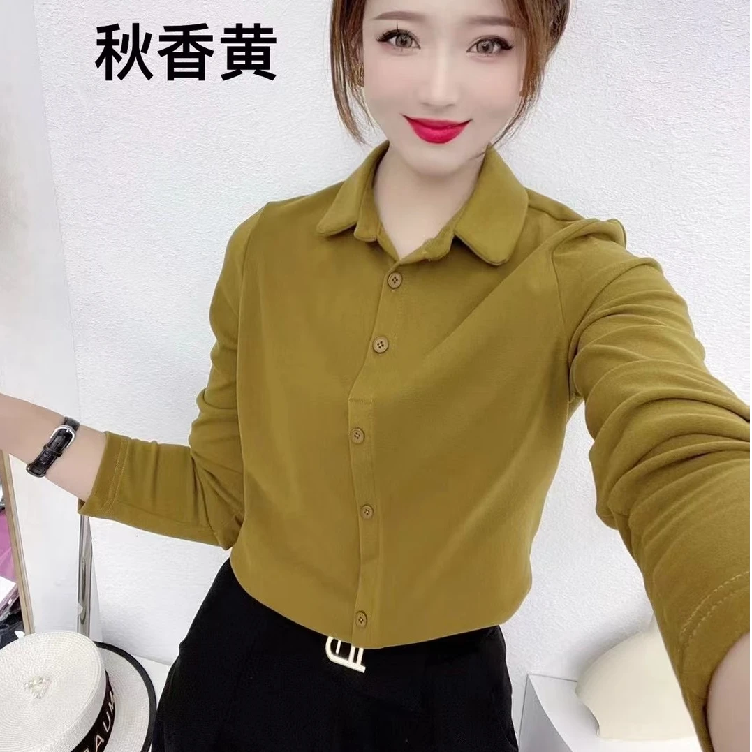 2024早冬新款双面绒净色简约百搭时尚气质遮肉女士翻领打底加厚衫