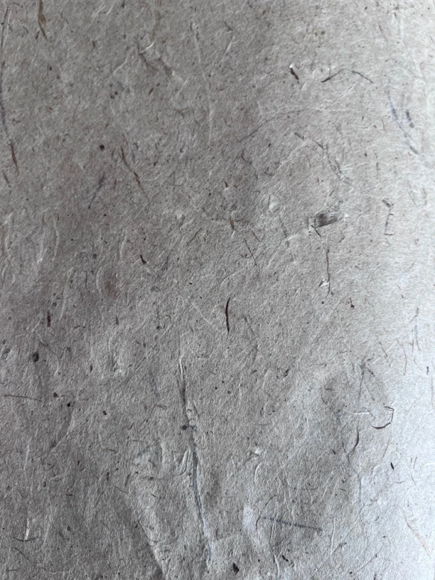 老纸古法纯皮原色清水云龙