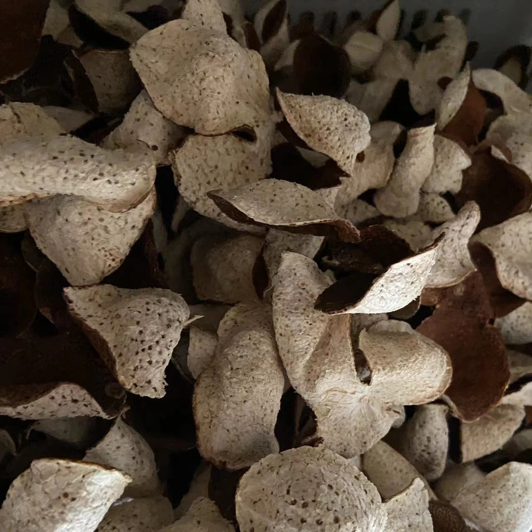 【自家果园】2021年茶坑九年老树圈枝冬后大红皮