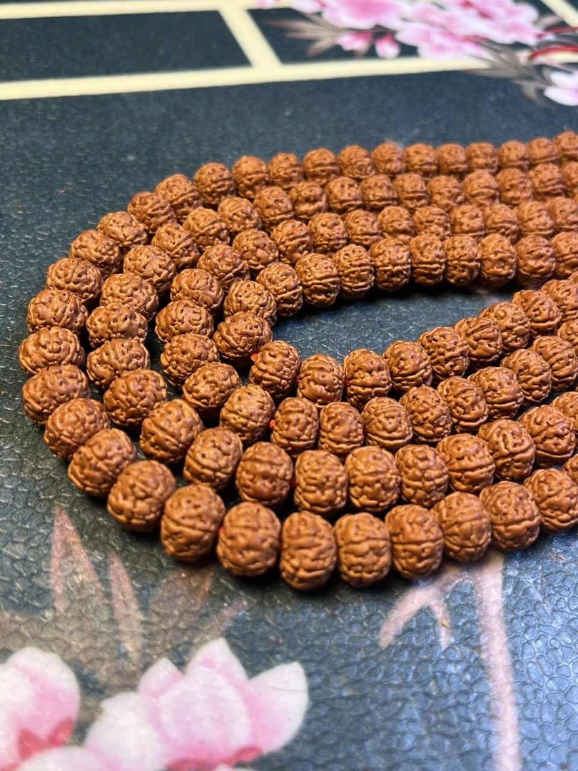 299六瓣飞碟树王尺寸7--9+精挑手持+钢丝刷