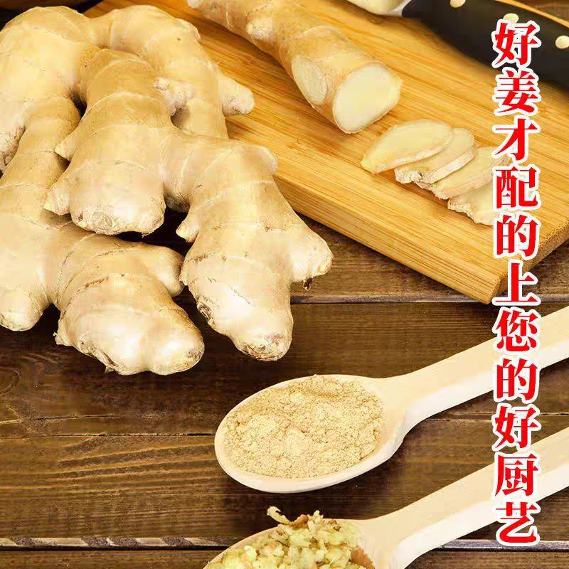 姜生姜三年姜老姜炒菜煲汤的山东大姜