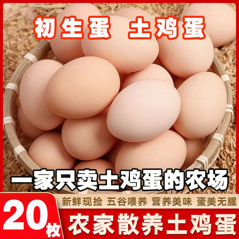 20枚农家散养新鲜土鸡蛋无菌蛋走地鸡蛋可生食土鸡蛋营养散养笨鸡