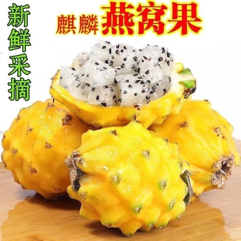 海南新鲜水果当季麒麟燕窝果1-3斤包邮 食用香甜多汁（从海南发货）