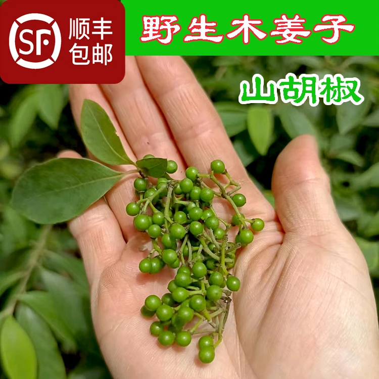 顺丰包邮新鲜山胡椒木姜子山苍子香江山鸡椒1/3/5斤湖南郴州特产