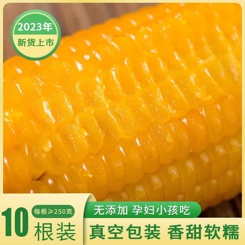 析芮东北真空黄糯玉米250g/根*10新鲜甜糯粘自种植加热即食黏苞米