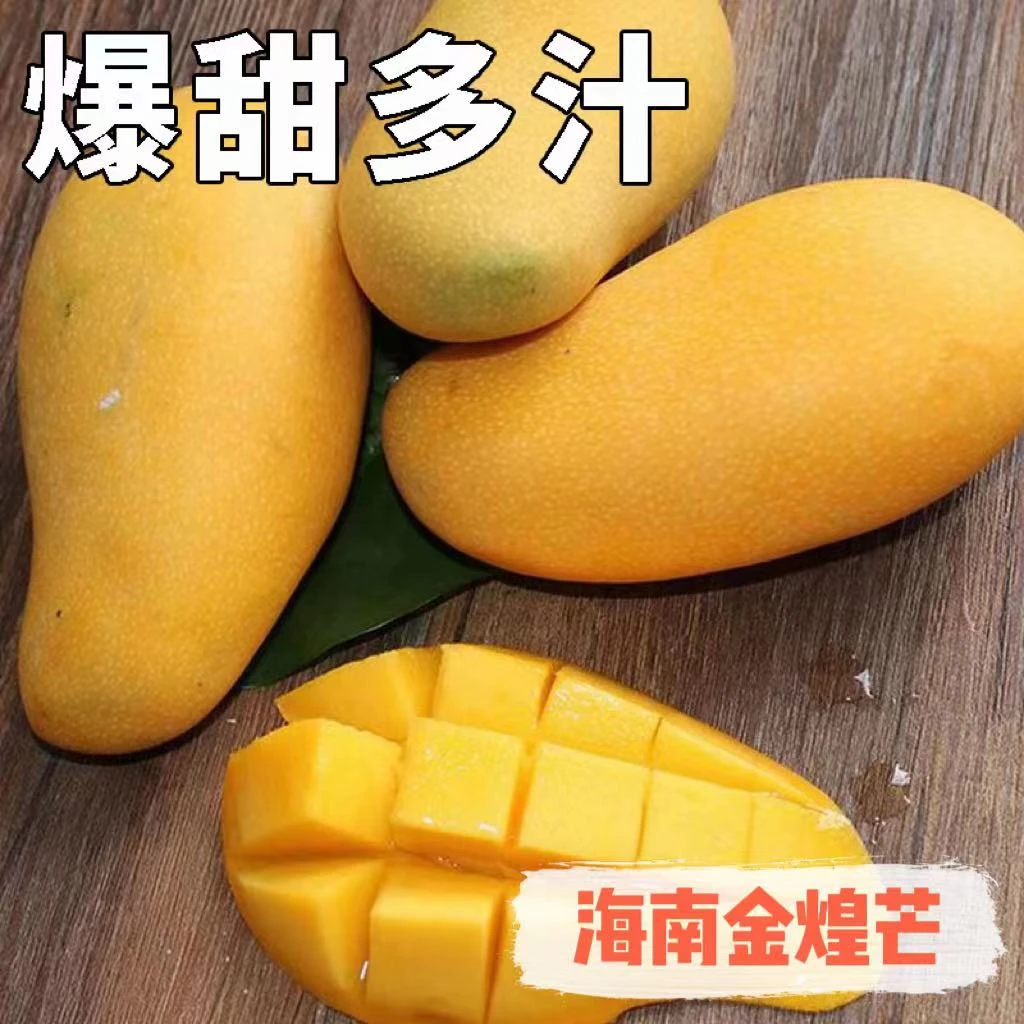【主播专属】海南金煌芒果甜无丝净重8斤催熟放软食用