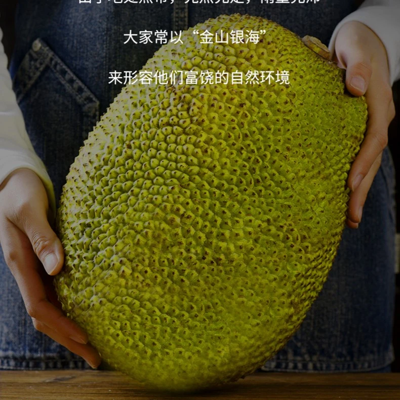 越南红肉菠萝蜜新鲜水果【一整个（10斤）】红心菠萝蜜脆甜爽口越南