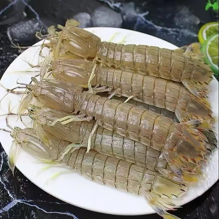 新鲜本海飞蟹叉子产顺丰包邮发货