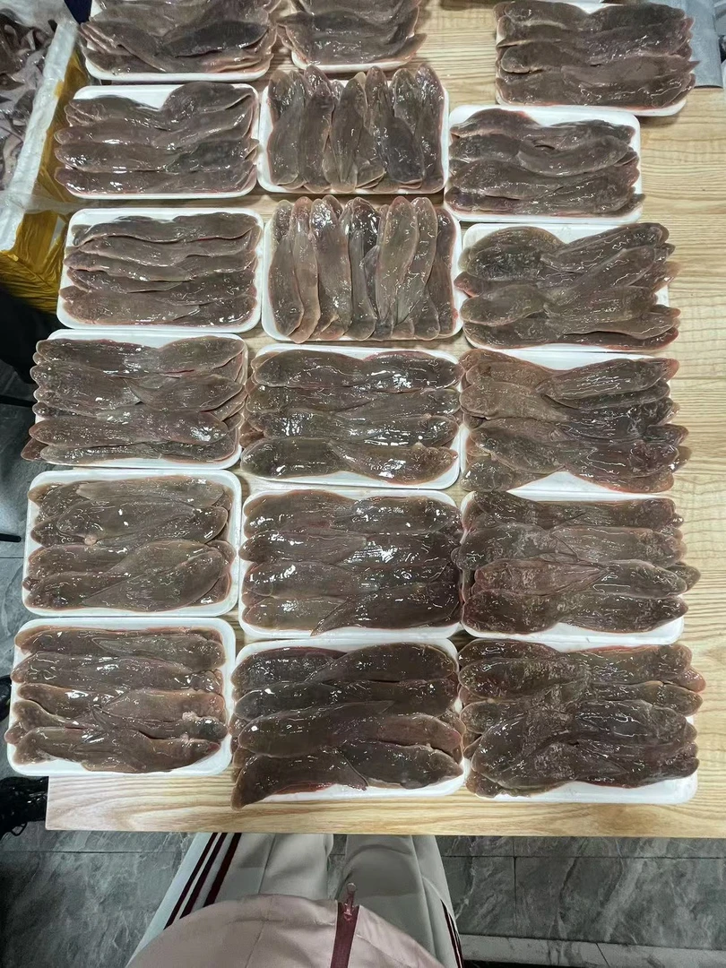 渤海湾小踏板鱼舌头鱼海鲜水产新鲜捕捞海鱼顺丰发货