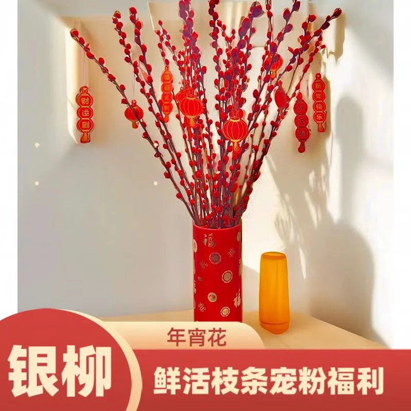 H银柳干花真花鲜枝银柳耐寒年宵花室内客厅装饰花万福桶