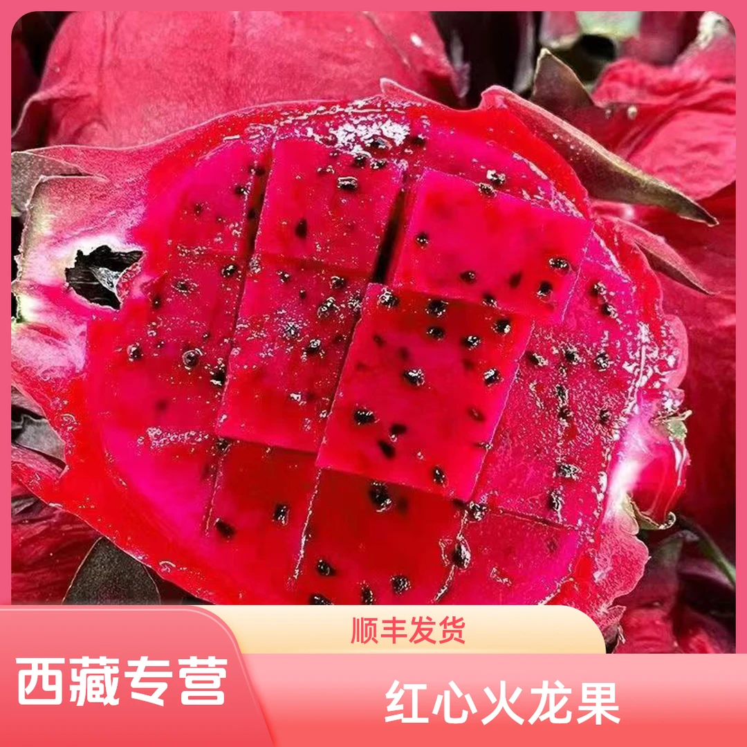 【红心火龙果】海南金都一号当季新鲜水果大果拉萨包邮